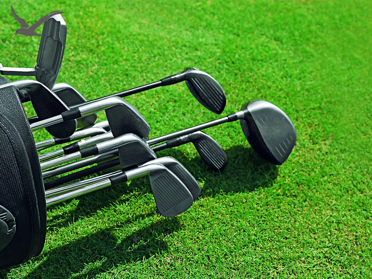Về độ câu lạc bộ golf