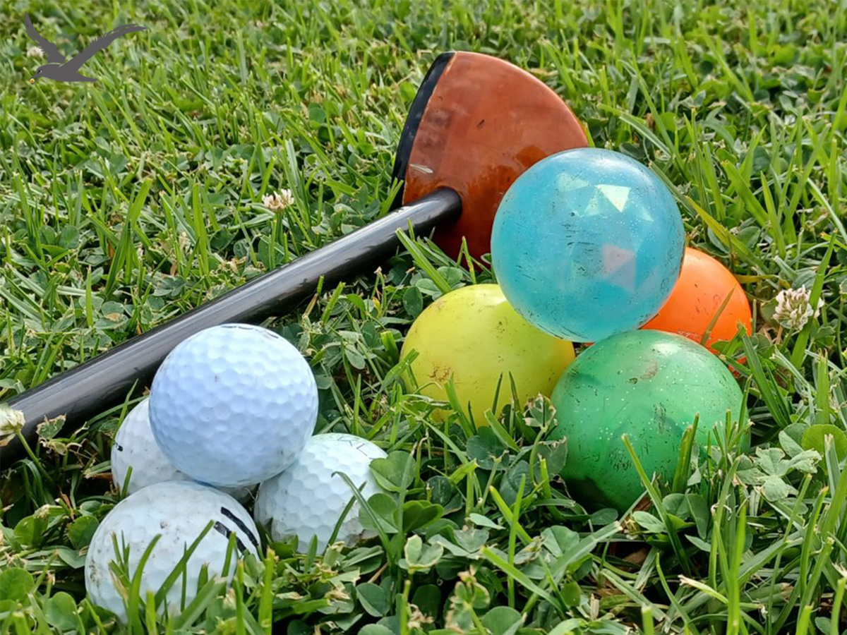 Sự đa dạng của bóng golf công viên